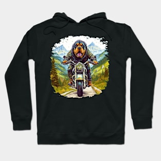 A realistic photographic t-shirt design featuring a Rottweiler Dog on a motorcycle Hoodie